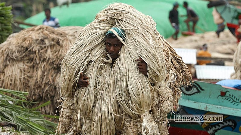 A worker takes jute to sell at Dighirpar Market in Munshiganj.   Photo: Shamsul Haque Ripon