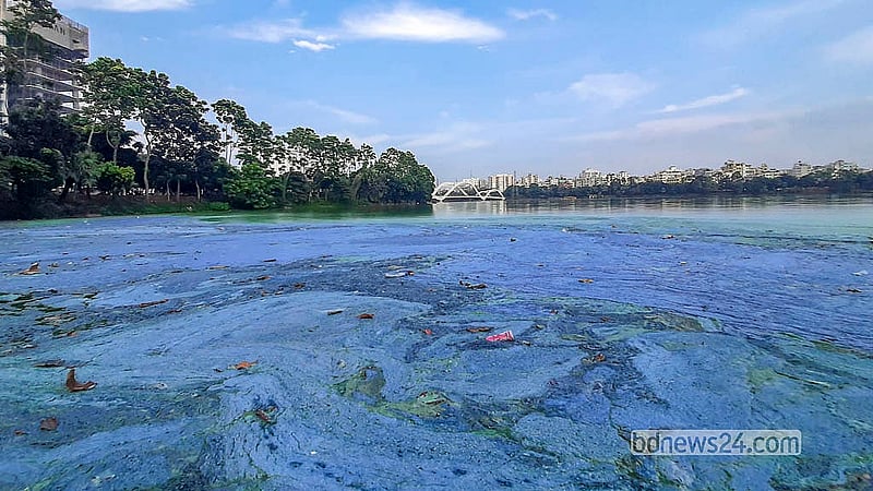 With authorities failing to maintain the lake, pollution spreads unchecked across Hatirjheel.  Photo: Abdullah Al Momin