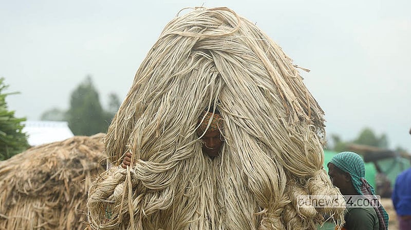 Workers unload jute at Dighirpar Market in Munshiganj, earning a wage of Tk 20 to 25 per maund.  Photo: Shamsul Haque Ripon