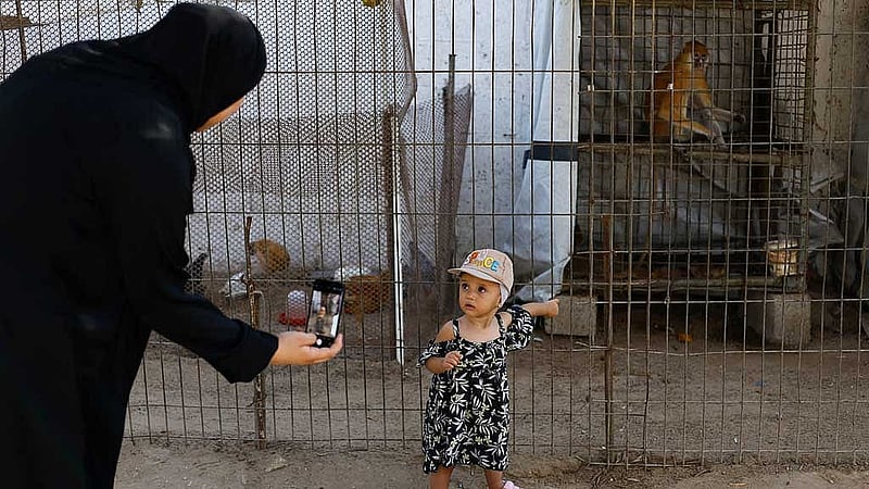 Palestinians visit a zoo in Nuseirat, in the central Gaza Strip, Aug 6, 2026. REUTERS/Mahmoud Issa