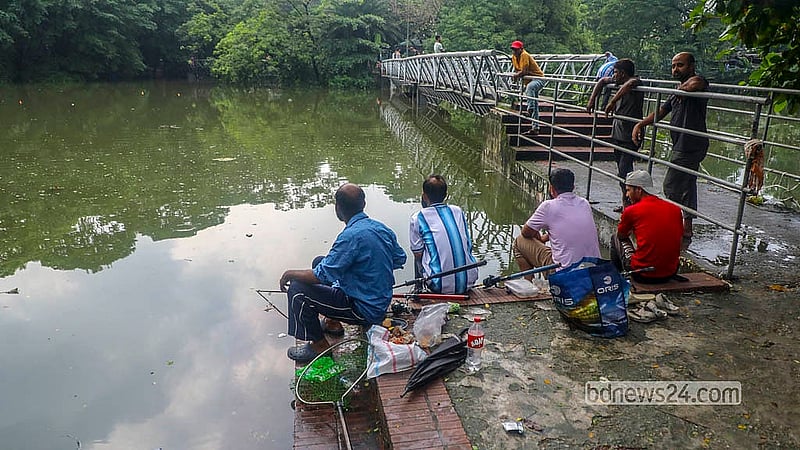 Dhanmondi Lake is overflowing after days of continuous rain, and many people take the opportunity to fish with spears.  Photo: Abdullah Al Momin