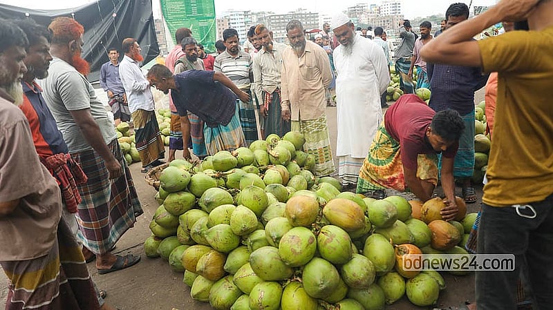 As temperatures rise and dengue cases increase, trading in coconuts has picked up at Sadarghat’s wholesale markets in Dhaka. Photo: Shamsul Haque Ripon