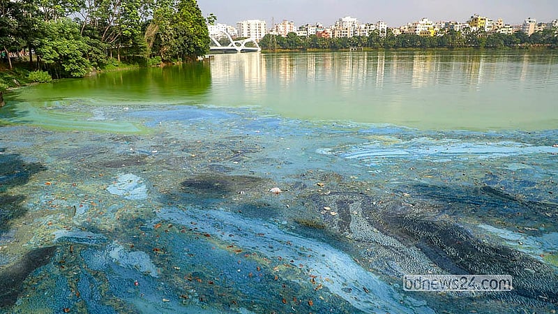 Decomposing garbage has left Hatirjheel Lake's water discoloured and murky.  Photo: Abdullah Al Momin