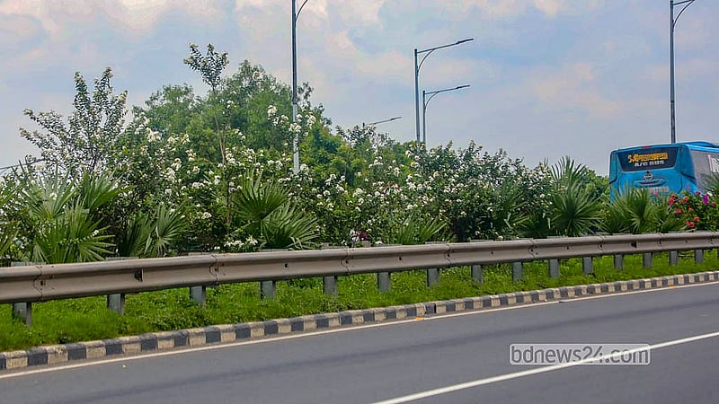 Palm trees have also been planted at different points along the Mawa-Bhanga Expressway’s central divider, alongside flowering plants. Photo: Abdullah Al Momin