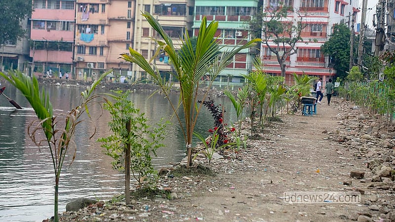 With the encroachment cleared, flowering and fruit trees have been planted along the banks of the DIT pond. Photo: Abdullah Al Momin