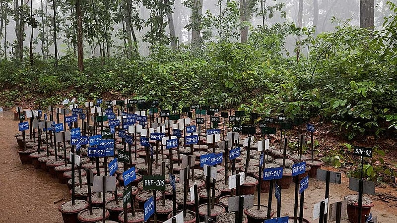 Identification number tags for bodies at the Devghat mass burial site for victims of deadly flash floods and mudslides, in Chitwan, Nepal, August 30, 2026. REUTERS/Navesh Chitrakar