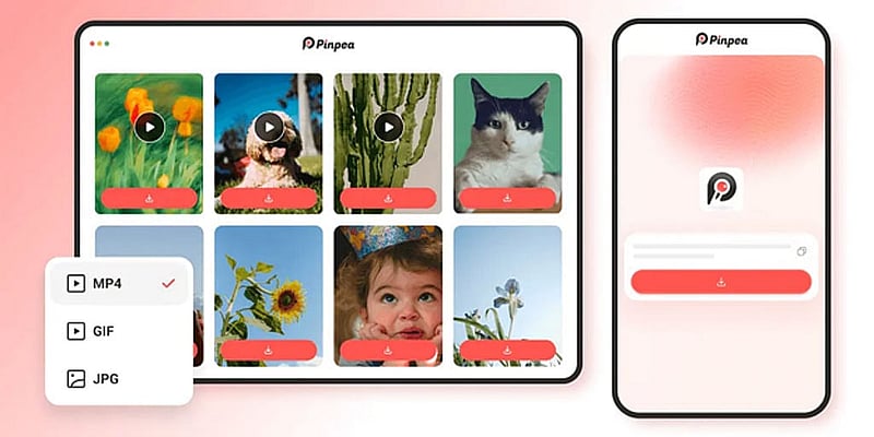 Choosing an output format on Pinpea: MP4 for video, GIF for animation, JPG for stills.