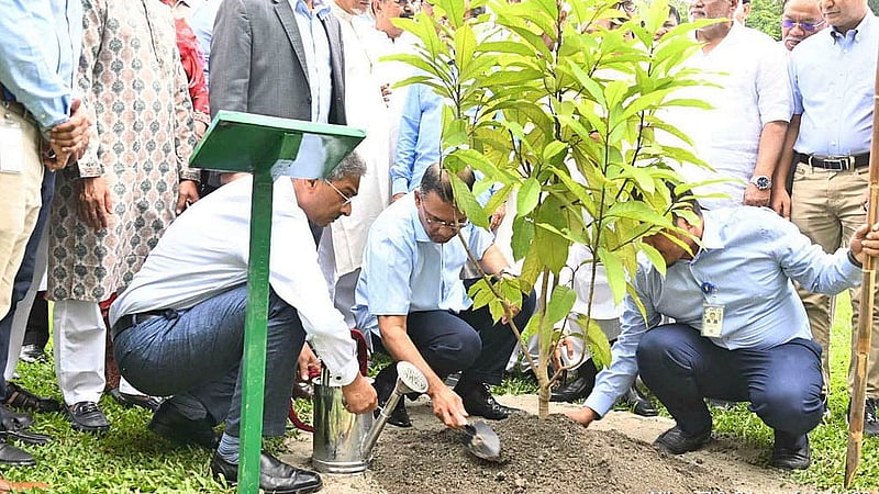 BNP Chairman and Prime Minister Tarique Rahman plants trees in Dhaka’s Zia Udyan on Tuesday, Sept 1, 2026, to mark the party’s 48th founding anniversary. Photo: BNP Media Cell