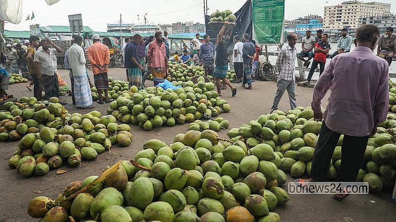 At Dhaka’s Sadarghat, 100 coconuts are selling wholesale for Tk 12,000 to Tk 14,000, depending on their size and quality. Photo: Shamsul Haque Ripon