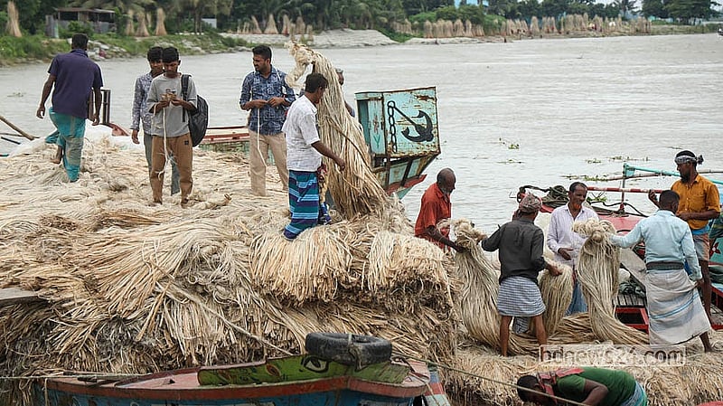 Workers unload jute from trawlers at Dighirpar Market in Munshiganj.  Photo: Shamsul Haque Ripon