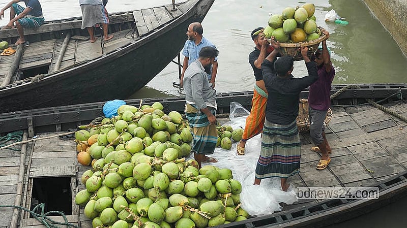 Workers are busy unloading coconuts from boats at a Buriganga River ghat beside Sadarghat Launch Terminal, carrying the produce ashore on their heads. Photo: Shamsul Haque Ripon