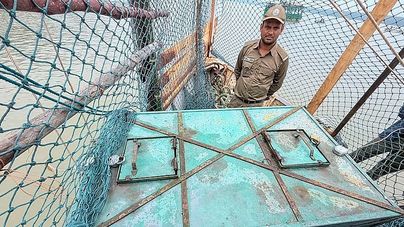 A tigress trapped by deer poachers in the Sundarbans is returned to the forest from the Khulna Wildlife Management and Nature Conservation Division on Sunday, Jul 12, 2026, after making a complete recovery. Photo: Adnan Azad Asif