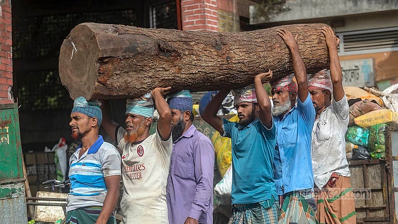Tree trunks brought by trawlers from different parts of the country by river are unloaded at the Farashganj Dock in Old Dhaka. A trunk is being taken from the dock to the saw mill. Photo: Abdullah Al Momin