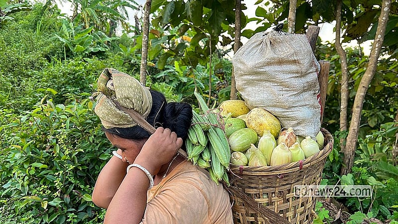 A woman from the Tripura community returns from the jhum fields on the hillside, her basket full of vegetables. Photo: Samir Mallik