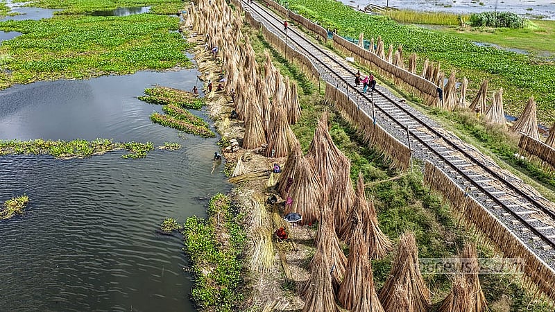 With no sufficiently high and dry ground available, farmers dry jute fibres and sticks along the railway tracks in Faridpur’s Bhanga. Photo: Mostafigur Rahman