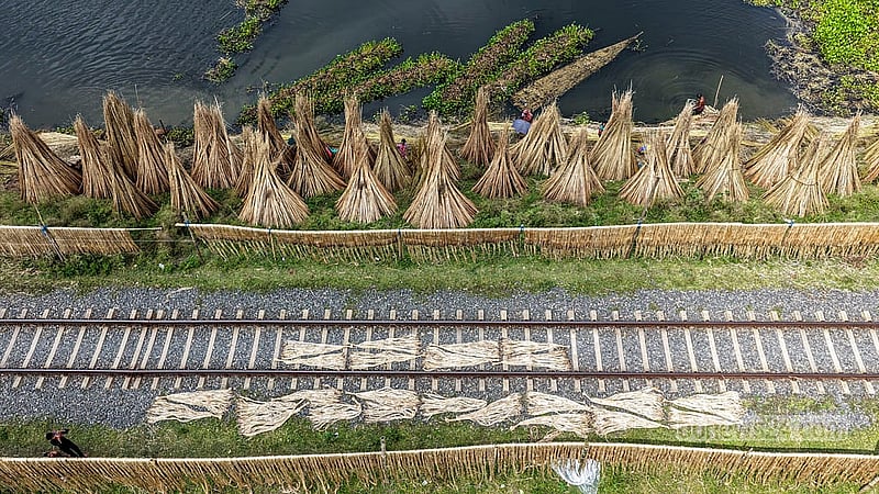 With no sufficiently high and dry ground available, farmers dry jute fibres and sticks along the railway tracks in Faridpur’s Bhanga. Photo: Mostafigur Rahman