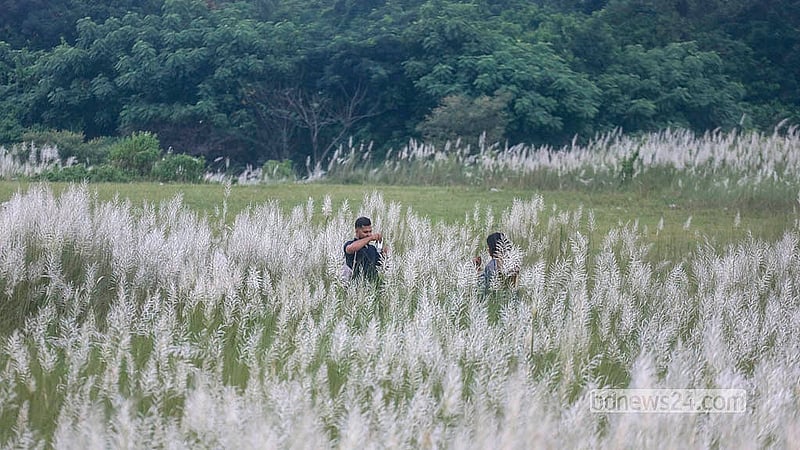 Visitors pose for photographs among the kans grass at Sarighat in South Keraniganj, Dhaka.  Photo: Abdullah Al Momin