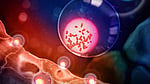 Men's Y chromosome loss may warn of cancer: study