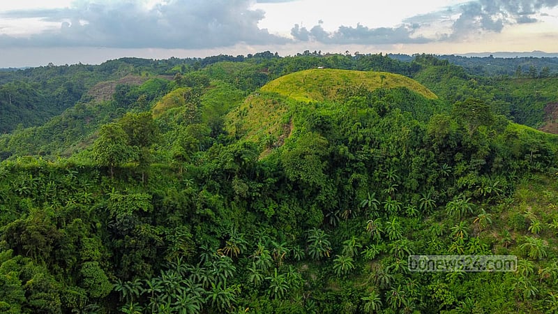 Vast stretches of jhum fields blanket the hillsides in green in the remote Simanapara area of Dighinala Upazila in Khagrachhari. Alongside rice, the main jhum crop, farmers cultivate around 30 to 40 varieties of crops and vegetables on the slopes, including marfa, sesame and maize. Photo: Mostafigur Rahman
