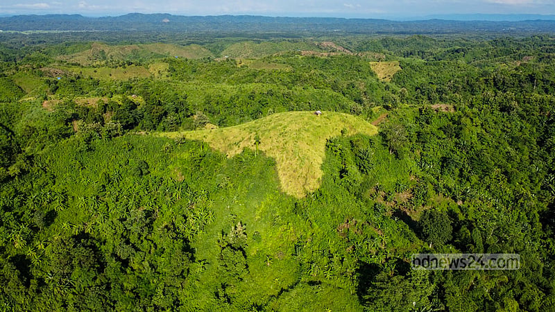 Vast stretches of jhum fields blanket the hillsides in green in the remote Simanapara area of Dighinala Upazila in Khagrachhari. Alongside rice, the main jhum crop, farmers cultivate around 30 to 40 varieties of crops and vegetables on the slopes, including marfa, sesame and maize. Photo: Mostafigur Rahman