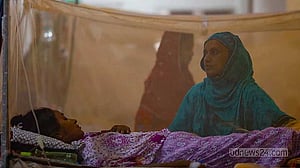 Dengue: 2 die, 1,232 hospitalised
