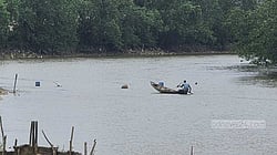 Is smuggled Bangladeshi fertiliser feeding Myanmar’s conflict?