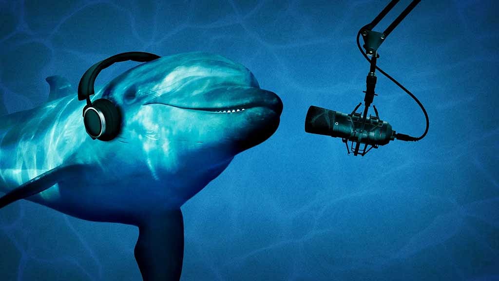 Can AI really help us 'talk' to animals? Scientists are sceptical