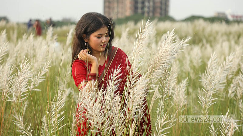 Visitors pause for photographs amid the silvery kans blooms at Sarighat in South Keraniganj. Photo: Shamsul Haque Ripon