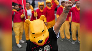 Why Xi protesters wore Winnie the Pooh costumes
