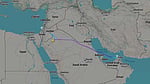 Israel-bound flight diverted to Saudi Arabia after pilots' brawl