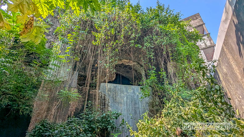 With little care from the authorities, vegetation has engulfed the entrance arch of Jinjira Palace in Keraniganj’s Hawli. Photo: Abdullah Al Momin