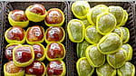 Hazardous chemicals lurk in everyday plastics: report