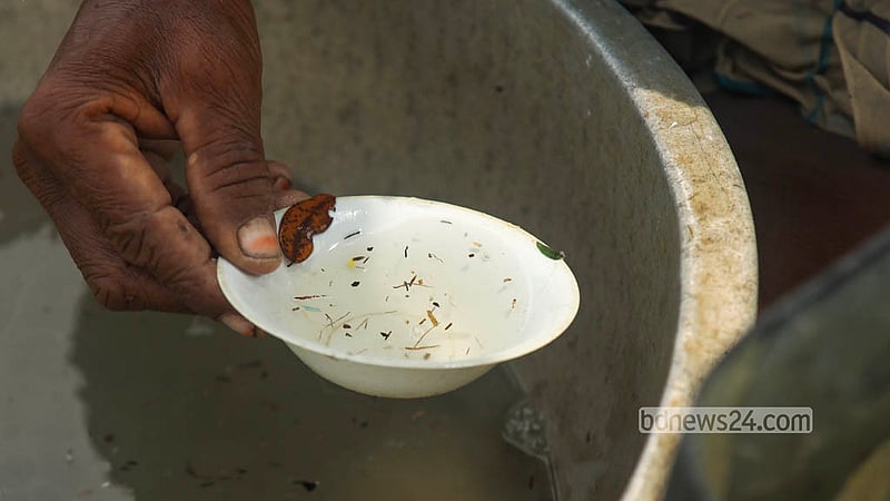 Shrimp fry caught at sea are sorted on the beach in Cox’s Bazar before being prepared for sale. Photo: Shamsul Haque Ripon