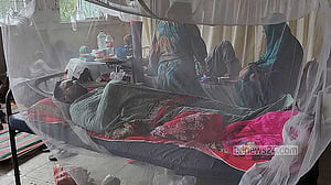 6 more deaths from dengue