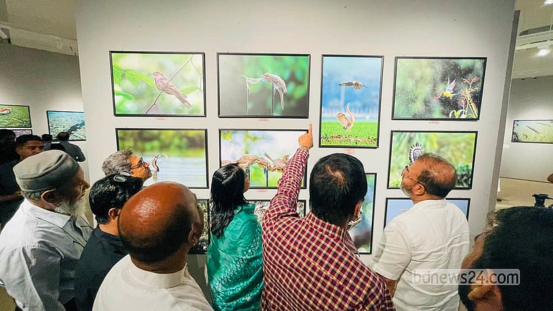 Visitors look at bird photographs by photographer Ansar Uddin Khan Pathan at the National Museum on Saturday, Oct 3, 2026. Photo: Shamsul Haque Ripon
