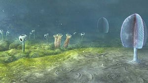 Animal life could date back 800mn years: study