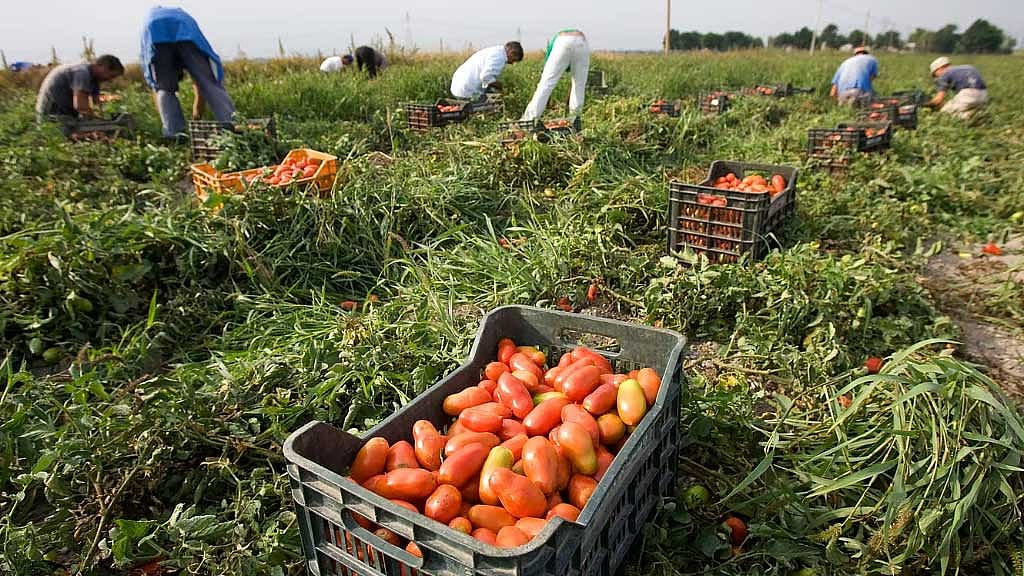 Bangladesh gets shot at 166,000 Italy jobs for foreign workers