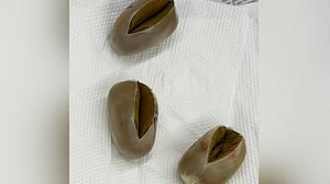 Customs seizes 1.29kg of ‘gold eggs’ at Dhaka airport