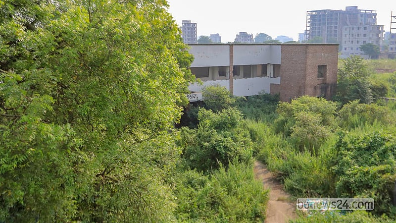 The Kunda 20-Bed Hospital complex has become overgrown with bushes due to years of neglect and a lack of maintenance.  Photo: Abdullah Al Momin