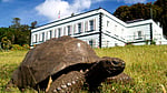 194-year-old tortoise may hold clues to longer life
