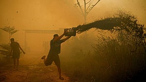 Wildfires destroy over 300 homes in Indonesia
