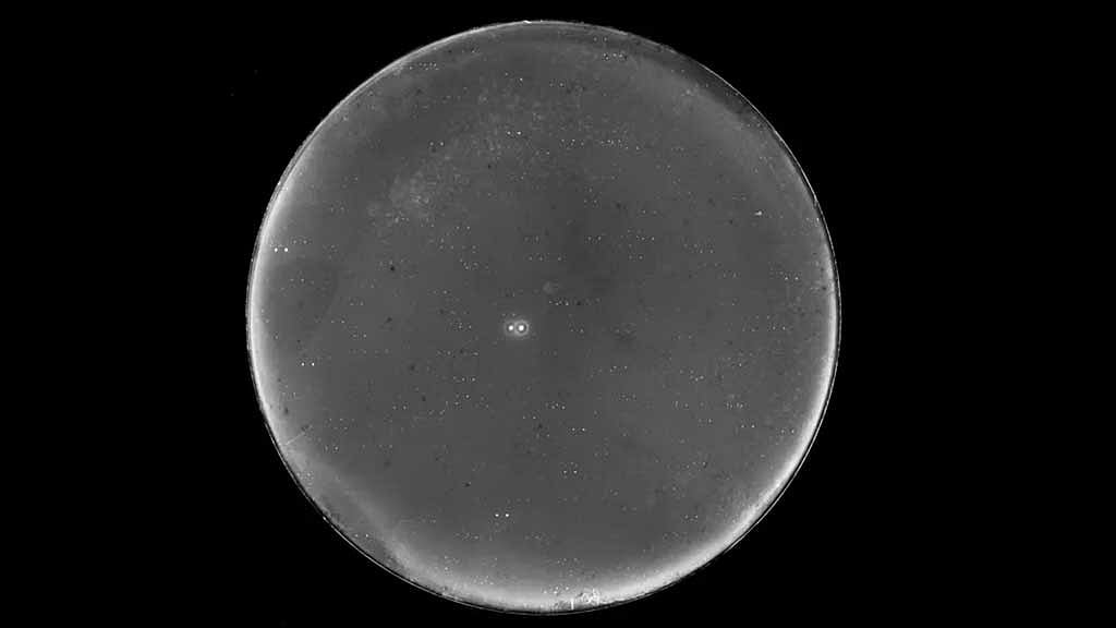 Earth-sized planet could sustain stable orbit in nearby two-star system: study