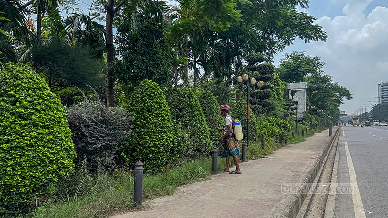 A city corporation worker is busy looking after plants grown for beautification beside the footpath on Airport Road in Dhaka's Khilkhet. Photo: Muhammad Mostafigur Rahman