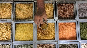 Iron-rich foods beyond red meat