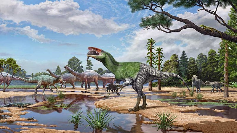Isle of Wight fossil reveals new dinosaur species