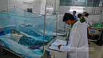 5 more die from dengue