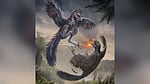 Jurassic fossil find upends early bird evolution theory