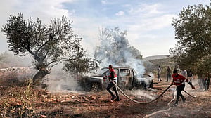 Israeli settlers attack West Bank, burn olive trees