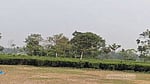 BGB foils BSF bid to push-in 12 people at Lalmonirhat border