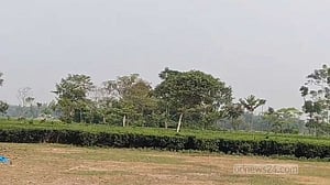 BGB foils BSF bid to push-in 12 people at Lalmonirhat border